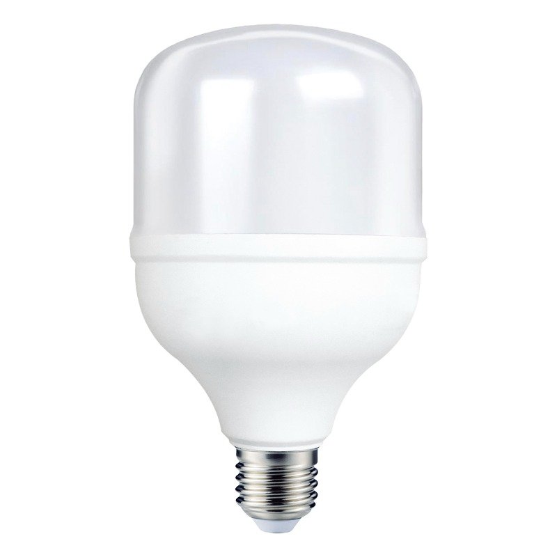 Imagen del Producto: BOMBILLO LED IND T100 30W E27 FROSTED 6400K EVERGREEN en Area Electric