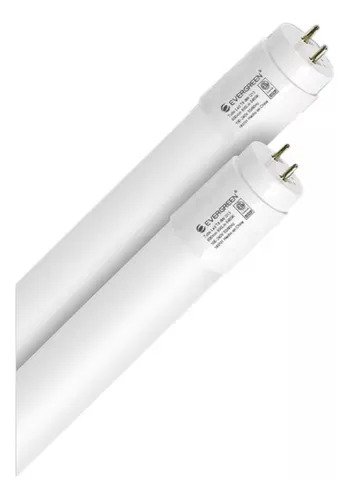 Imagen del Producto: TUBO LED T8 60 CM 9W 6400K EVERGREEN en Area Electric