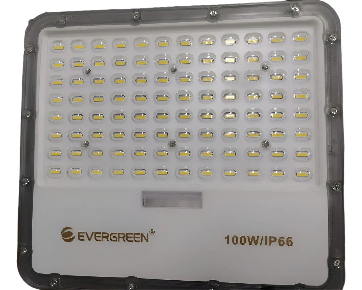 Imagen del Producto: REFLECTOR LED 100W SLIM 6400K EVERGREEN en Area Electric