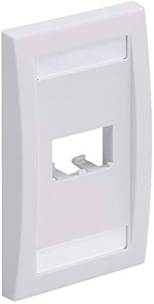 Imagen del Producto: FACE PLATE 2 PTOS BLANCOS PANDUIT en Area Electric
